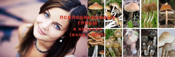 амф Кодинск