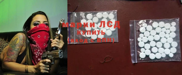 амф Болотное