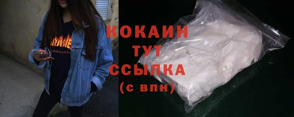 шишки Козельск