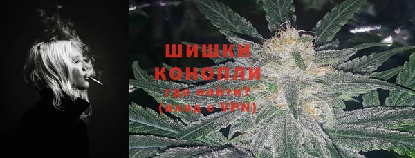 шишки Козельск