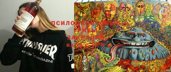 прущая мука Болхов