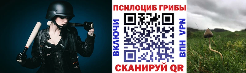 Купить где  Вытегра  Галлюциногенные грибы MAGIC MUSHROOMS 